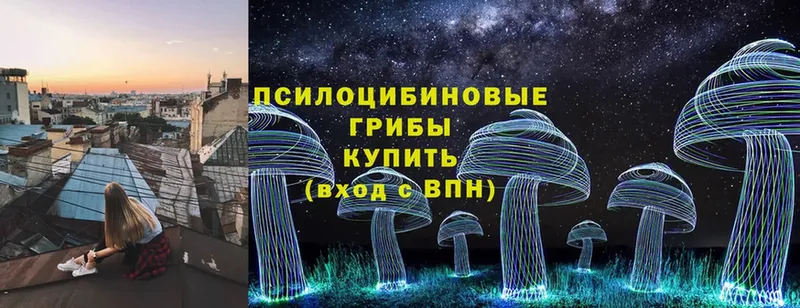 Псилоцибиновые грибы Psilocybine cubensis  Буй 